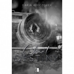 Cheat Destiny. Seria Lost...