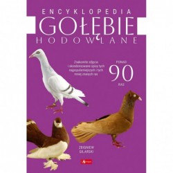 Encyklopedia. Gołębie...