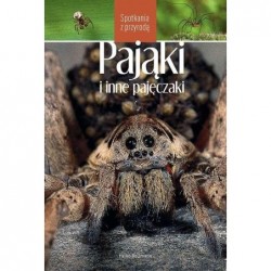 Pająki i inne pajęczaki....