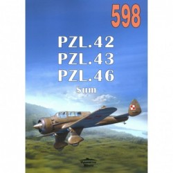PZL.42 / PZL.43 / PZL.46...
