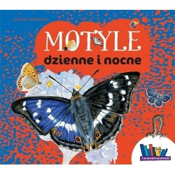 Motyle dzienne i nocne