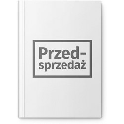 VAT. Komentarz 2025