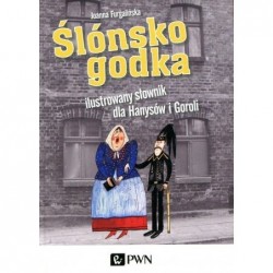 Ślónsko godka Ilustrowany...