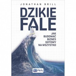 Dzikie fale. Jak budować...