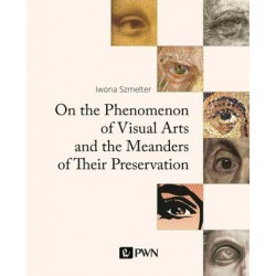 On the Phenomenon of Visual...