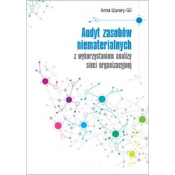 Audyt zasobów...