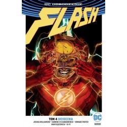 DC Odrodzenie. Flash –...