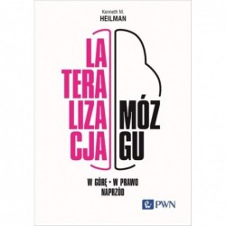 Lateralizacja mózgu. W górę...
