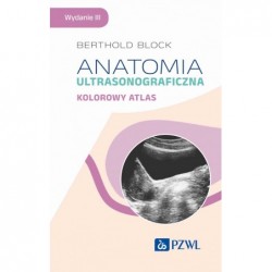 Anatomia...