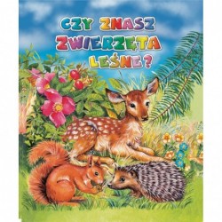 Czy znasz zwierzęta leśne?