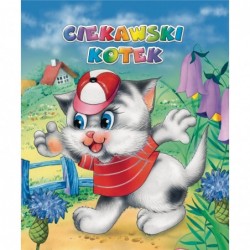 Ciekawski kotek