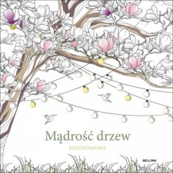 Mądrość drzew (kolorowanka)
