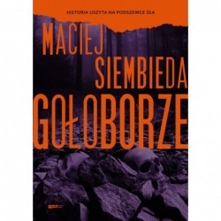 Gołoborze