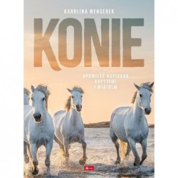 Konie. Opowieść napisania...