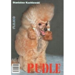 Pudle