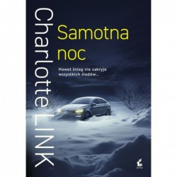 Samotna noc