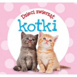 Dzieci zwierząt - kotki