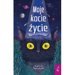 Moje kocie życie