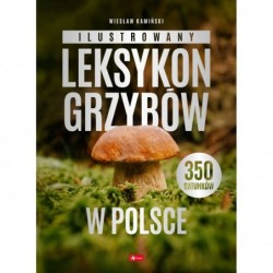 Ilustrowany leksykon...