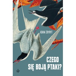 Czego się boją ptaki?
