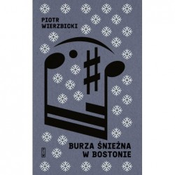 Burza śnieżna w Bostonie