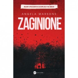 Zaginione
