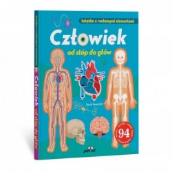 Człowiek od stóp do głów....