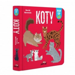 Koty. POP-UP 10