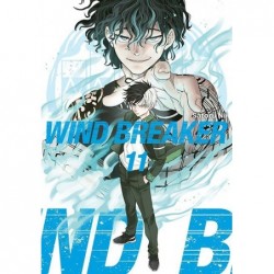 Wind Breaker #11