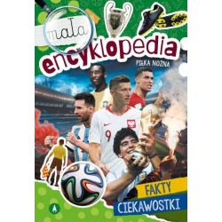 Piłka nożna. Mała encyklopedia