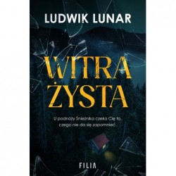 Witrażysta