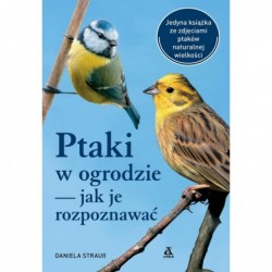 Ptaki w ogrodzie – jak je...