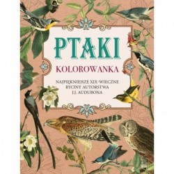 Ptaki. Kolorowanka...