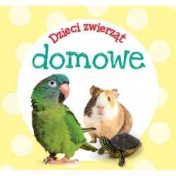 Dzieci zwierząt - domowe