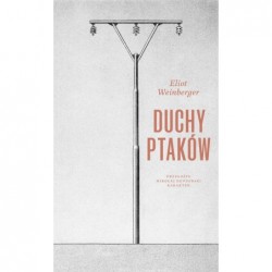 Duchy ptaków