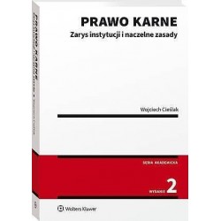 Prawo karne. Zarys instytucji