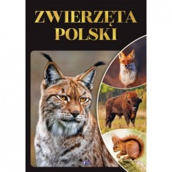 Zwierzęta Polski