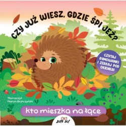 Czy już wiesz, gdzie śpi...