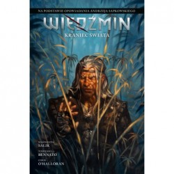 Wiedźmin. Adaptacje...