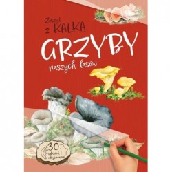 Grzyby naszych lasów