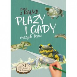 Płazy i gady naszych lasów