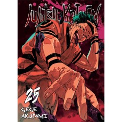 Jujutsu Kaisen. Tom 25