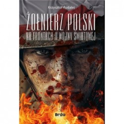 Żołnierz Polski na frontach...