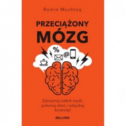 Przeciążony mózg