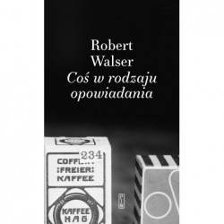 Coś w rodzaju opowiadania