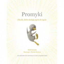 Promyki