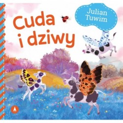 Cuda i dziwy