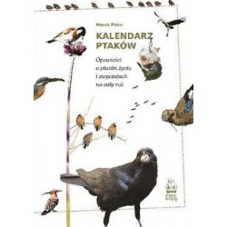 Kalendarz ptaków. Opowieści...