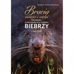 Bracia mniejsi i więksi....