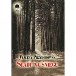 Ślady na śniegu